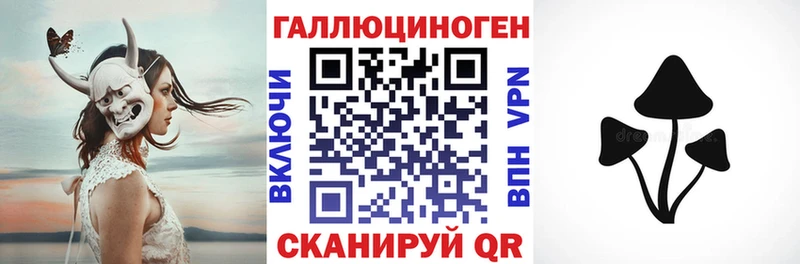 Галлюциногенные грибы прущие грибы  Купить  Камышлов 